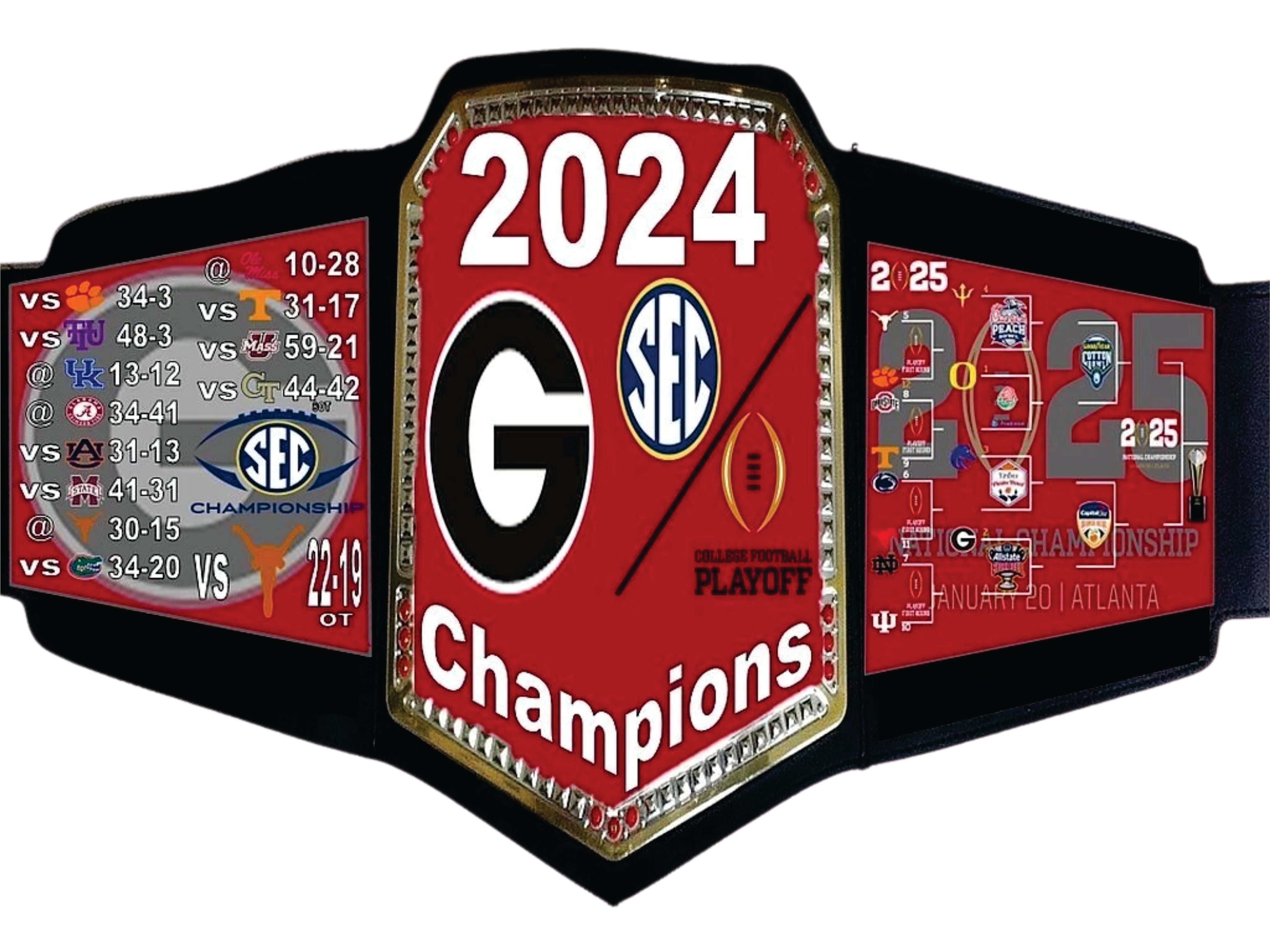 2024 Baltimore Ravens AFC North Division Champions Championship Belt Championship Belt Store