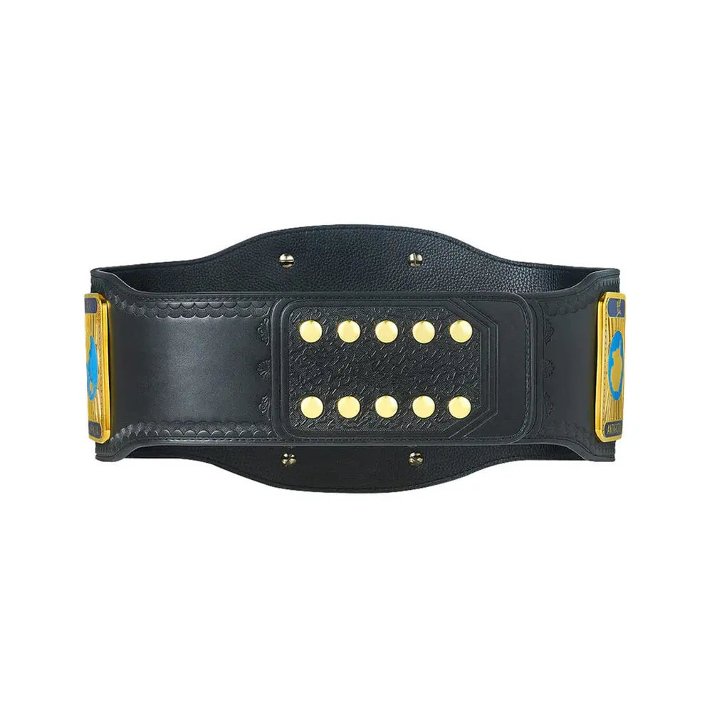 WWF Intercontinental Belt World Wrestling Federation Championship Belt Championship Belt Store