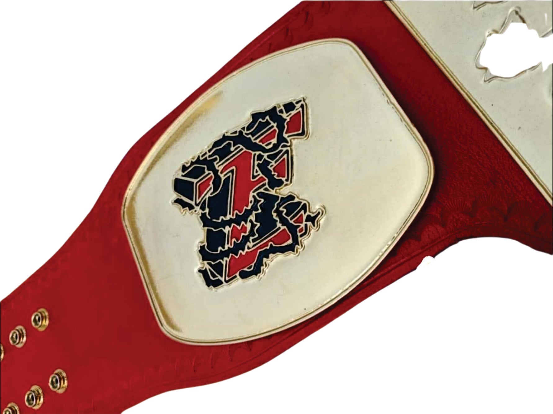 Tomorrow's End Custom  Championship Wrestling Belt Championship Belt Store