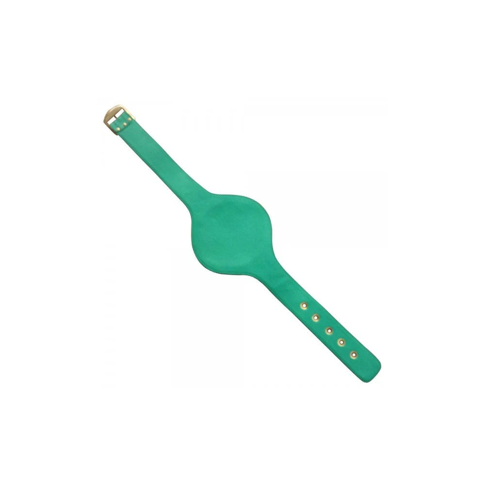 WBC EMERALD BOXING CHAMPIONSHIP BELT Championship Belt Store