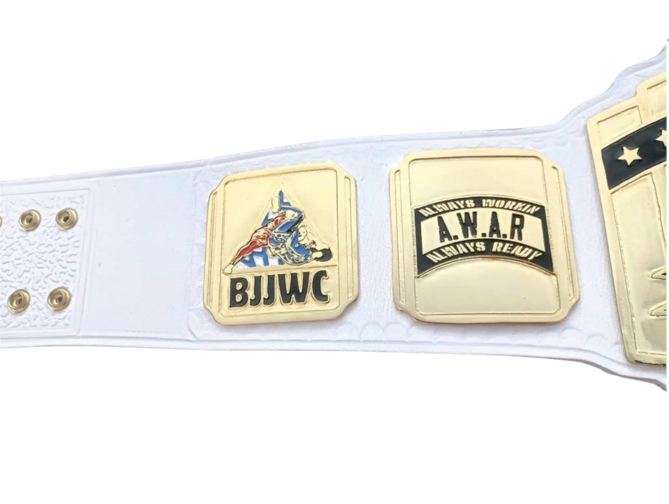 BJJ World Champion A.W.A.R Championship Belt Championship Belt Store