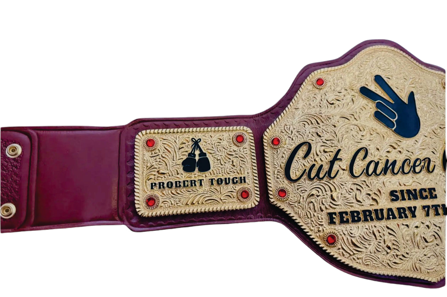 Cut Cancer Out 7 February 2025 Champiosnhip Belt Championship Belt Store