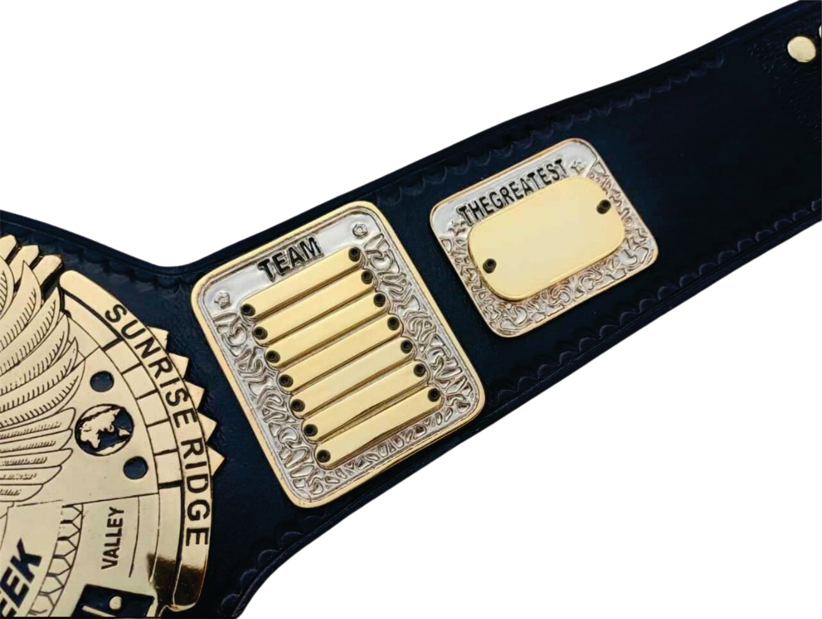 Custom Tag Team Phi Beta Sigma Championship Belt Championship Belt Store