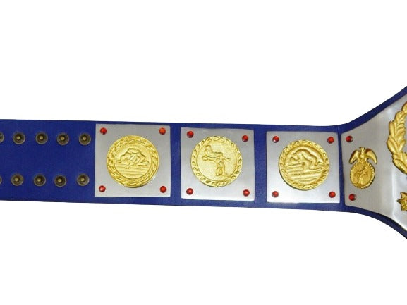 WWWF Bruno Sammartino Heavyweight Wrestling Champion Belt Bob Backlund Champions Championship Belt Store