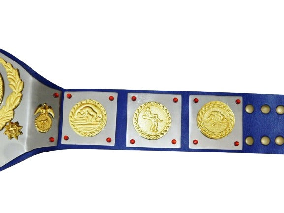 WWWF Bruno Sammartino Heavyweight Wrestling Champion Belt Bob Backlund Champions Championship Belt Store