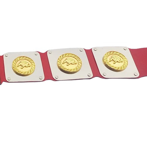 Wwf D-generation X Championship Belt Replica Championship Belt Store