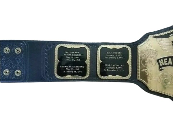 WWF Hulk Hogan Championship Title Belt